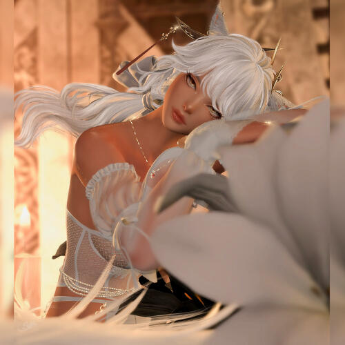 Persona Flex (CREATIVE DIRECTOR)