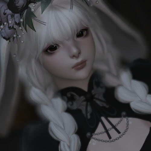 Devlin Lavendeer
